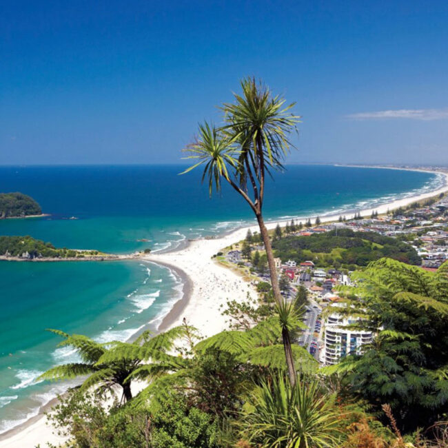 Hungerball Bay of Plenty