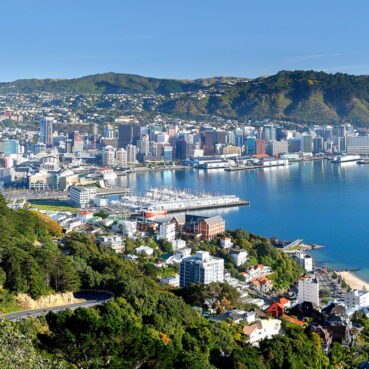 Hungerball Wellington