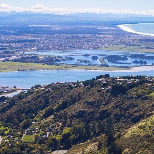 HUNGERBALL® Canterbury