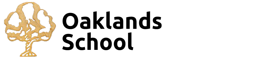 UK Partner HUNGERBALL® – Oaklands School Cheshire